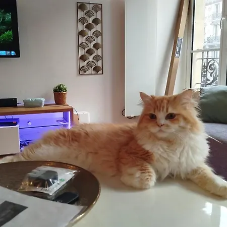 Homestay szállás A Centre *